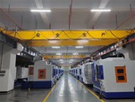 25 Tons Double Beam Bridge Crane